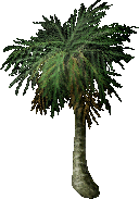UO Ultima Online Rubble