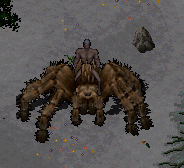 tarantula-mount-mounted.png