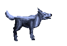 Blue Cu Sidhe - Trained