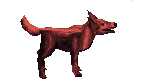 Red Cu Sidhe - Trained