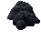 Coal