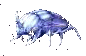 Ethereal Beetle