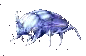 Ethereal Beetle