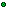 Ring of the Vile