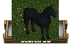 ultima online Dread Mare - 9x Legendary 