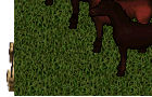 ultima online 2 Slot -  Bloodwood Red Nightmare
