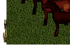 ultima online 2 Slot -  Demonic Forces Red Nightmare