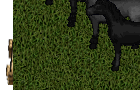 ultima online 2 Slot - Shogun Grey Nightmare
