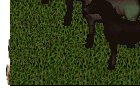 ultima online 2 Slot -  Summer Green Nightmare